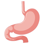 Dr. Shankar Bhanushali, the best doctor for Stomach Diseases Treatment in Ulwe, Navi Mumbai offering superior care and solutions for stomach health concerns.