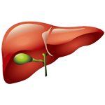 Dr. Shankar Bhanushali, the best doctor for Liver Diseases Treatment in Ulwe, Navi Mumbai offering superior care and solutions for Liver health concerns.