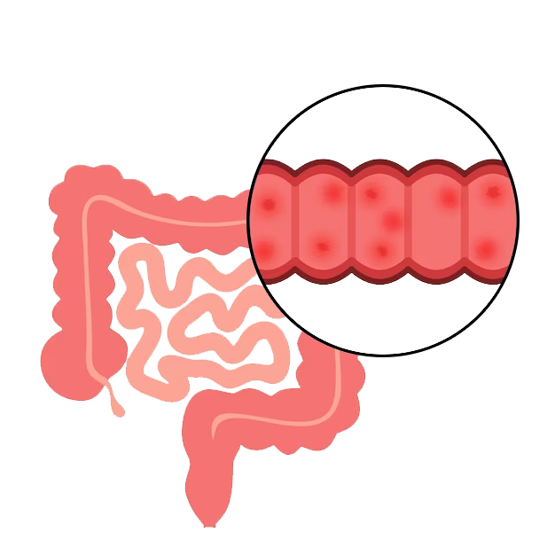 Dr. Shankar Bhanushali, the best doctor for Intestinal Diseases Treatment in Ulwe, Navi Mumbai offering superior care and solutions for Intestinal health concerns.